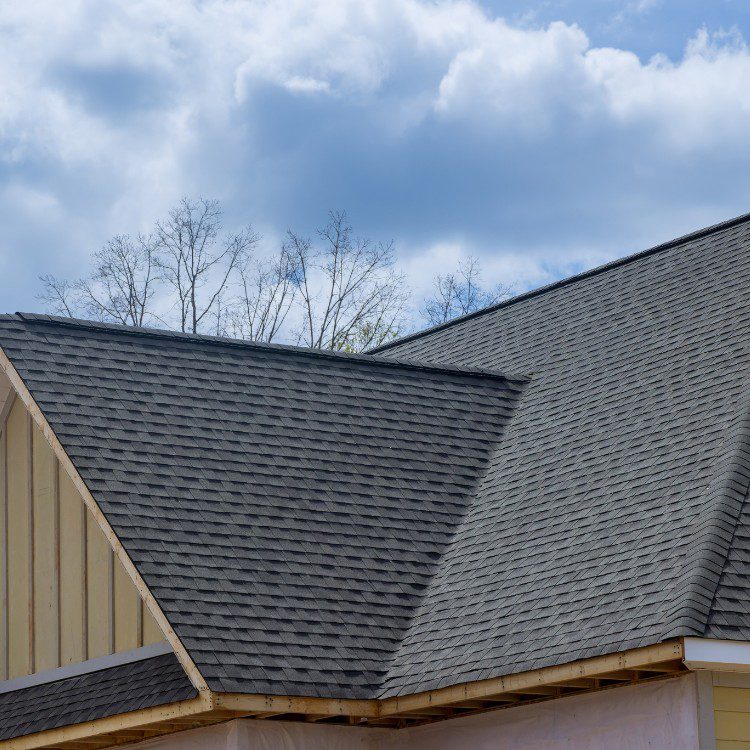 Roofing Services in Jacksonville, FL Roofing Services in Jacksonville, FL